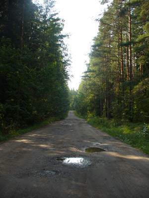 Лесная дорога