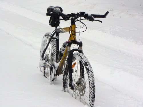 http://www.velootpusk.ru/textimages/winter_bike9.gif