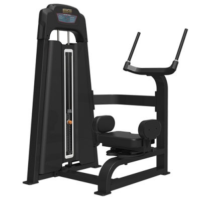 BRONZE GYM LD-9018 Торс-машина