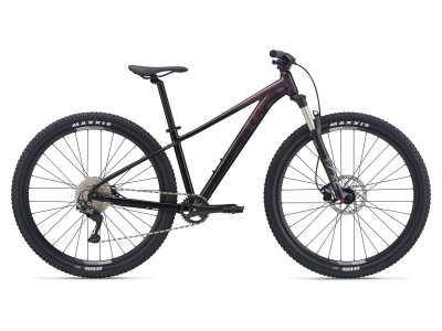 Liv Tempt 1 (2021)