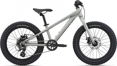 Giant STP 20 (2021)