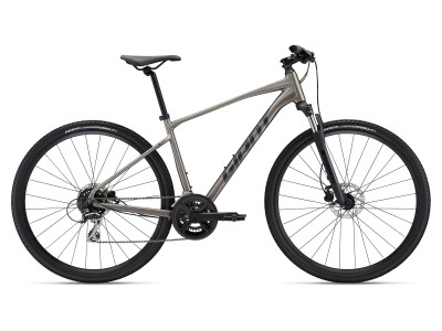 Giant Roam Disc 3 (2022)