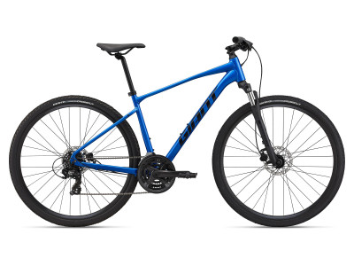 Giant Roam Disc 4 (2022)